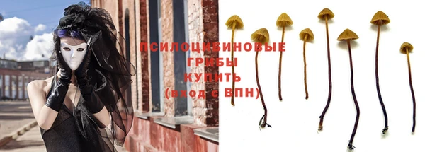 ECSTASY Михайловка