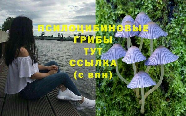 mdpv Михайловск